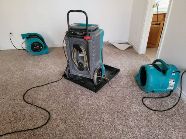 Best Residential water damage restoration  in Marion, MS