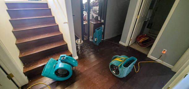 Best Flood damage cleanup  in Marion, MS