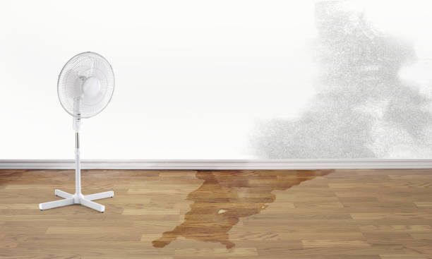 Best Ceiling water damage repair  in Marion, MS