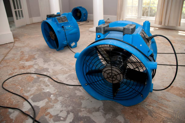 Best Water damage restoration company  in Marion, MS