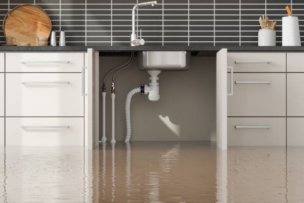 Best Water damage restoration specialists  in Marion, MS