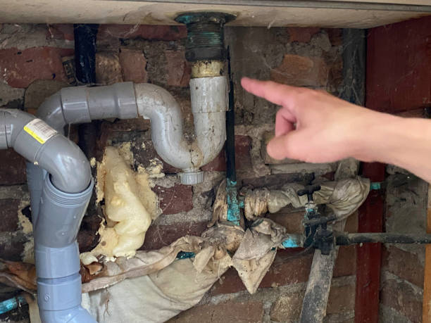 Best Emergency water damage restoration  in Marion, MS